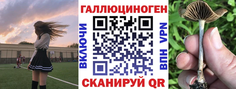 Галлюциногенные грибы прущие грибы  закладки  Братск 