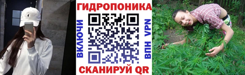 Канабис Amnesia  наркотики  Братск 